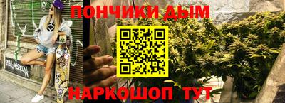 крисы Вязники