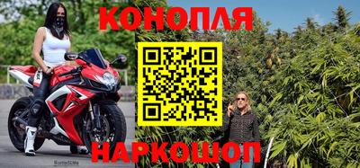 крисы Вязники