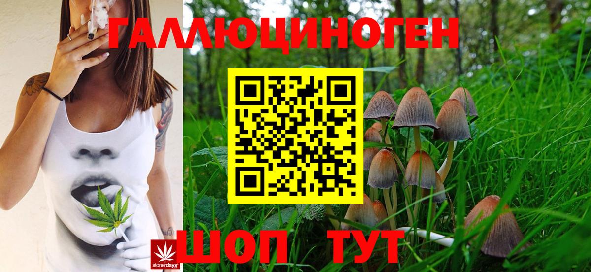 Псилоцибиновые грибы Psilocybine cubensis  Вход с VPN  Дмитров 