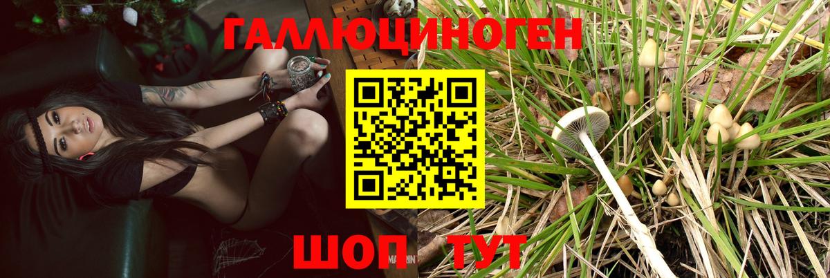 Бошки Шишки  Дмитров  МЕФ кристаллы  ГАШ  Вход с VPN 